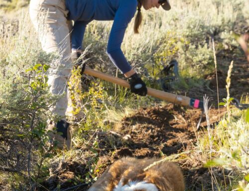 Trail Work Tuesday 9/3/24 – Northwoods
