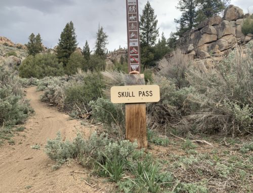 Trail Work Tuesday, 8/23 – Skull Pass