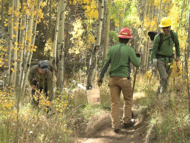 An autumn Gunni Trails workday on USFS lands.